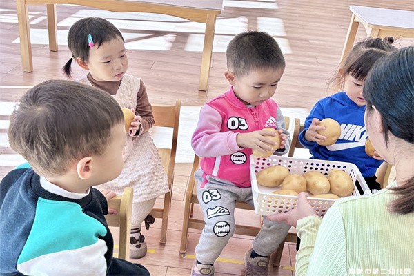 【课程故事】嗨！土豆