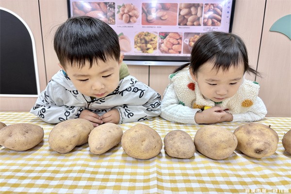【课程故事】嗨！土豆