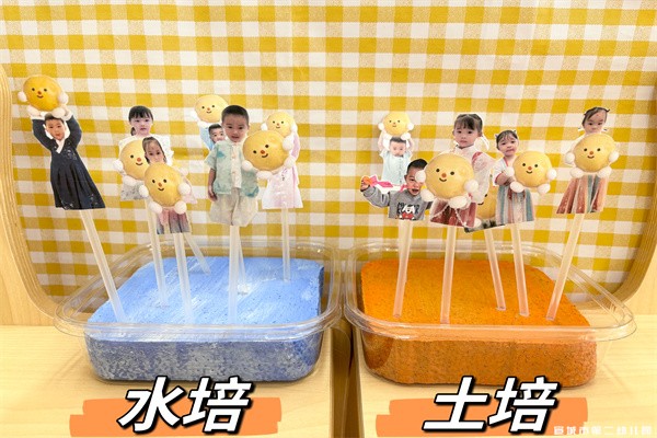 【课程故事】嗨！土豆
