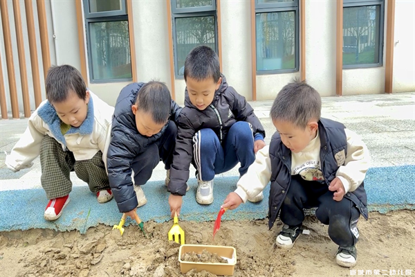 【课程故事】嗨！土豆