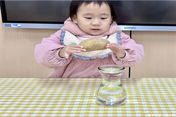 【课程故事】嗨！土豆