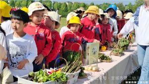 “感节气之美，观绘本之魅”——宣城市第二幼儿园开展绘本节特色活动