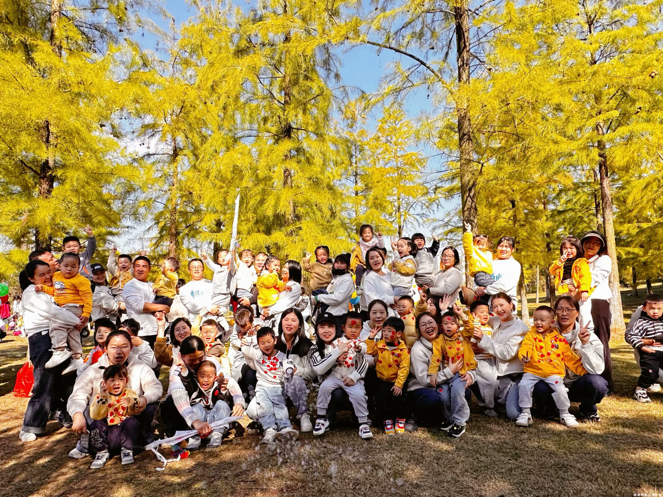 1731312251610019.png