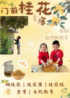 【童教育•课程故事】门前桂花落