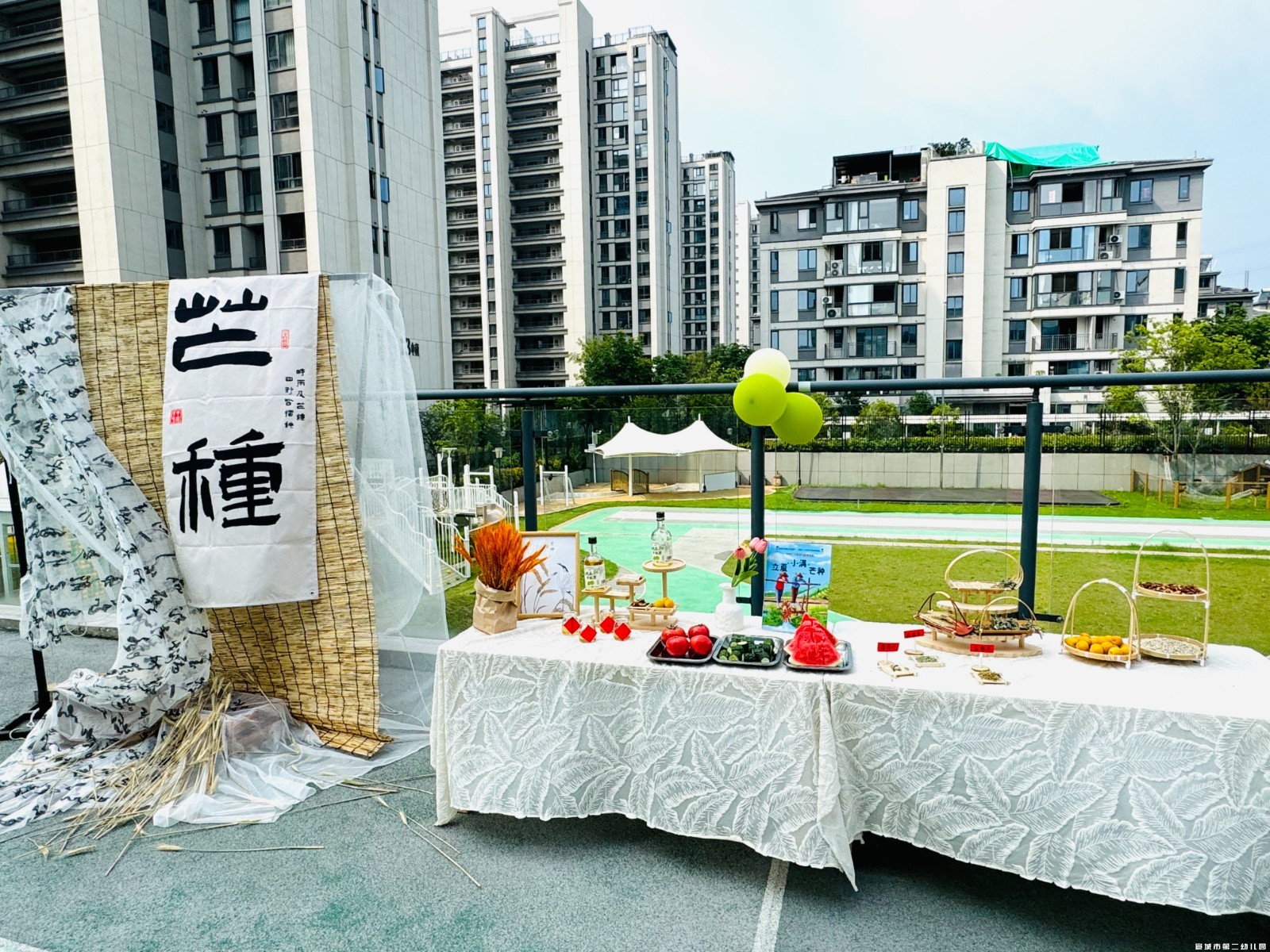 1781163107164916.jpg